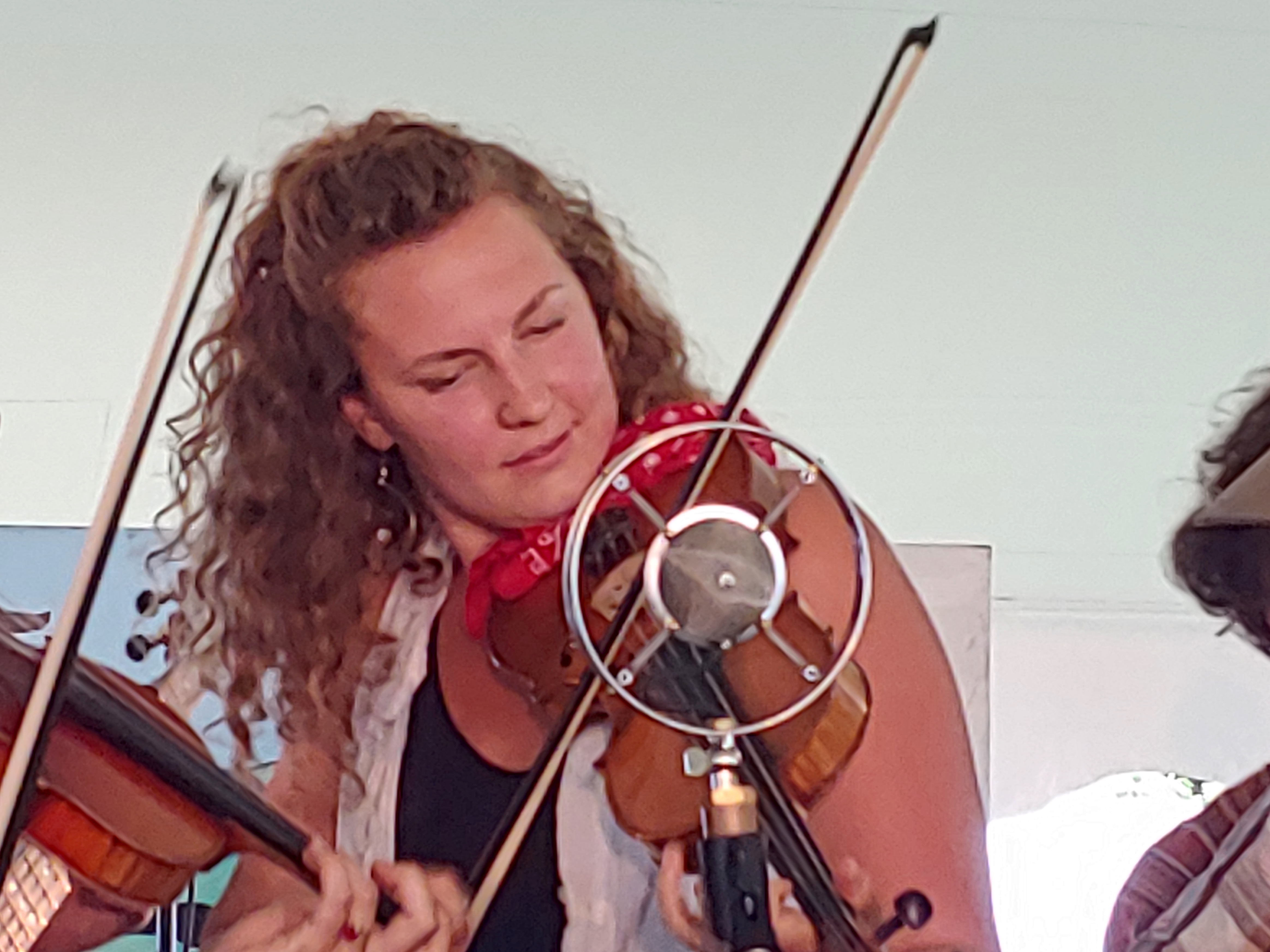 TerribleMountainStringBand2019-08-15GreenMountainBluegrassAndRootsFestivalManchesterVT (1).jpg